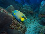 Pousada em Fernando de Noronha